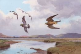 AR John Cyril Harrison (1898-1985) , "Merlin and Golden Plover", watercolour, signed lower right ,