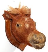 Taxidermy pony's head mounted on wall hanging wooden shield