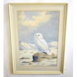 AR John Shepperd (20th Century), Snowy Owl in Landscape, watercolour, signed lower right, 53 x 35cm