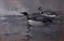 AR Frank Southgate RBA, (1872-1916) Great Northern Divers, black and white oil on board, signed