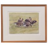 AR James McCallum (born 1970) , A gaggle of Geese , watercolour, signed lower left, dated 21 Feb