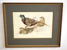 AR Frank Jarvis (20th Century), "Pheasant", pen, ink and watercolour, signed lower right, 27 x 39cm