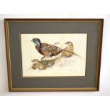 AR Frank Jarvis (20th Century), "Pheasant", pen, ink and watercolour, signed lower right, 27 x 39cm