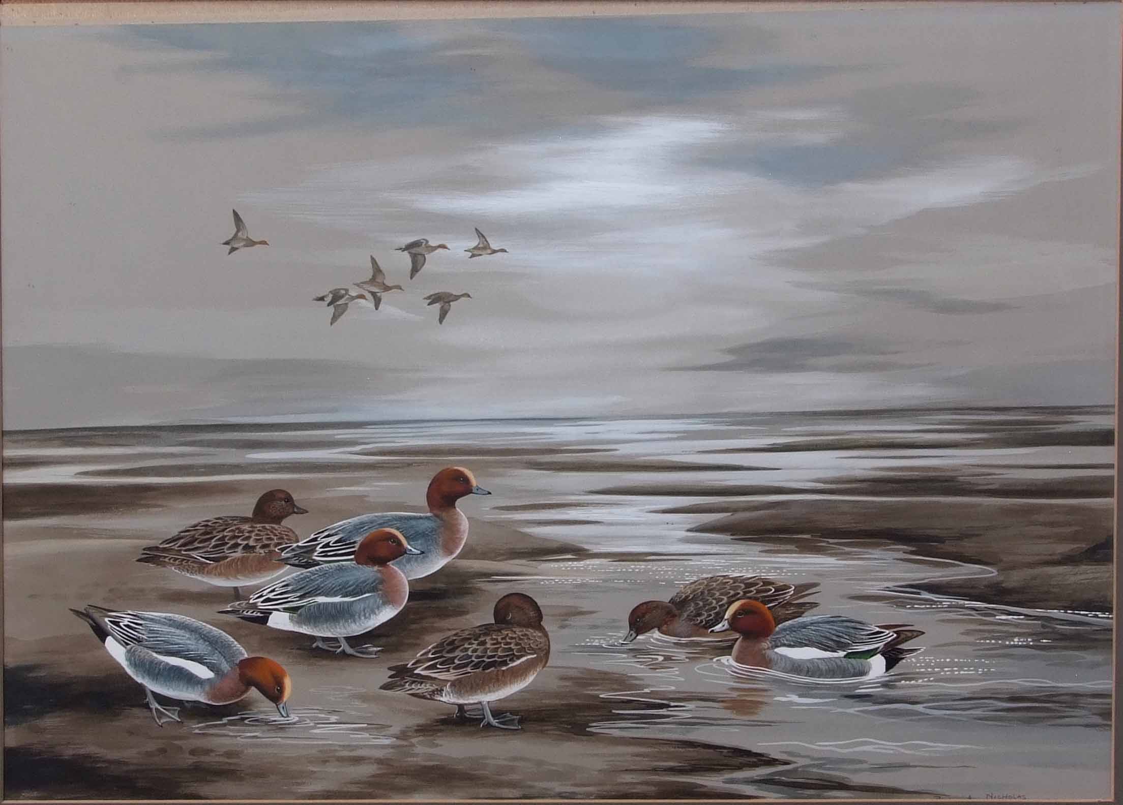 AR Paul A Nicholas (20th century), Widgeon in an estuary, watercolour and gouache, signed lower