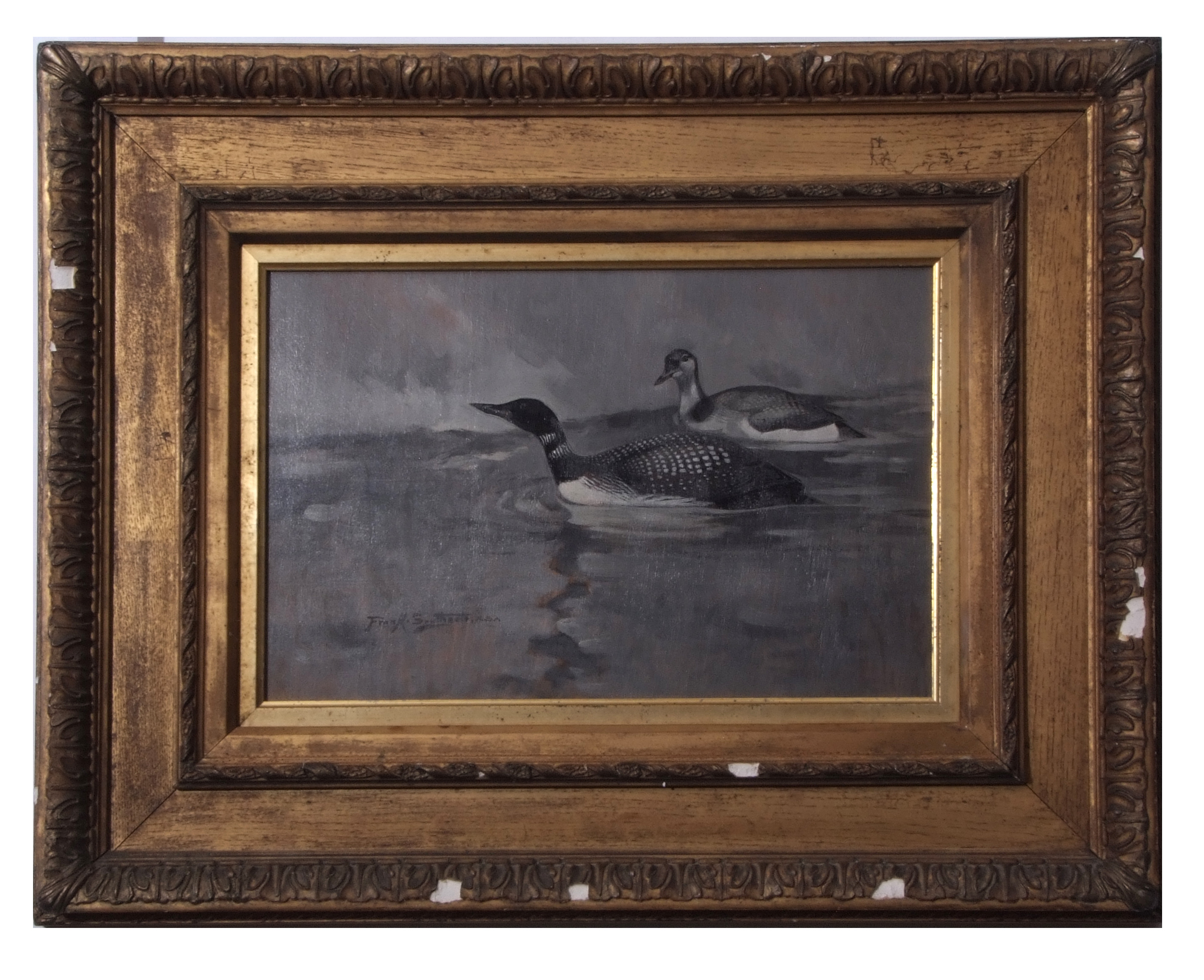 AR Frank Southgate RBA, (1872-1916) Great Northern Divers, black and white oil on board, signed - Image 2 of 2
