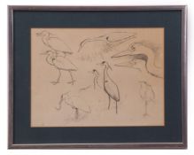 AR Ian Willis (Born 1944) , Herons and Brent Geese , two pen and ink drawings , 18 x 24cms and 19