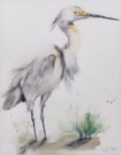 AR Angela Hewitt (Contemporary), Heron, watercolour, signed lower right , 42 x 33cms