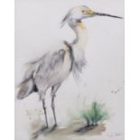 AR Angela Hewitt (Contemporary), Heron, watercolour, signed lower right , 42 x 33cms