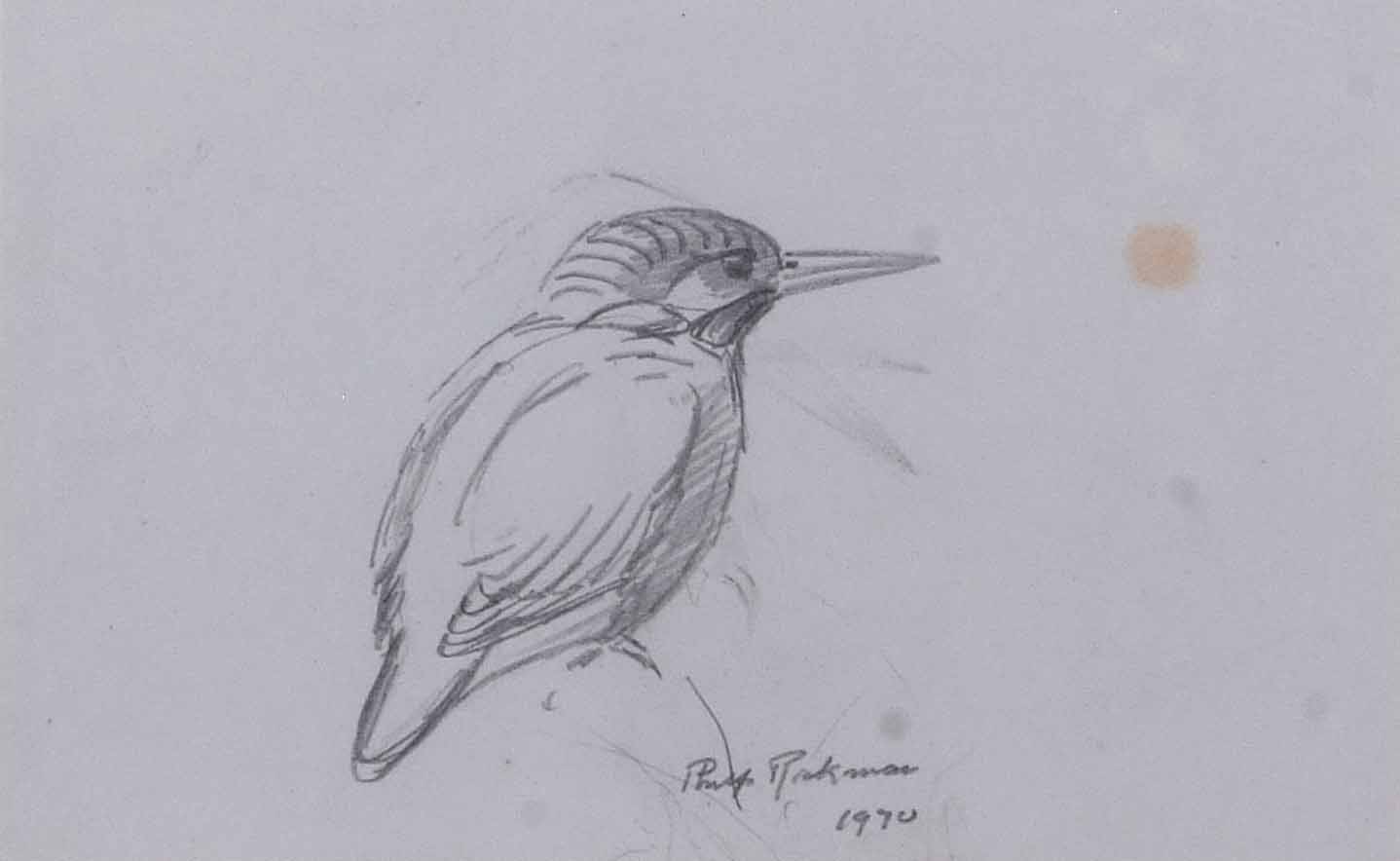 AR Philip Rickman (1891-1982), Kingfisher, pencil drawing, signed and dated 1970, 11 x 17cm - Image 2 of 2