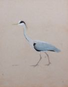 AR Robert Gillmor (born 1936) , "Heron", watercolour, signed lower left, 35 x 28cm. Provenance: