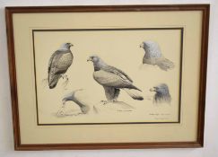 AR Richard Robjent (Born 1937), Golden Eagle, monotone watercolour, signed and dated 1982 lower