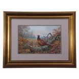 Carl Donner (CONTEMPORARY), "Blackneck Pheasans in an Autumn Woodland", watercolour, signed lower