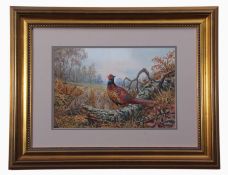 Carl Donner (CONTEMPORARY), "Blackneck Pheasans in an Autumn Woodland", watercolour, signed lower