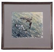 AR John Busby, SWLA, (born 1929), "Pomerine Skua chasing a juvenile Kittiwake", pen, ink and