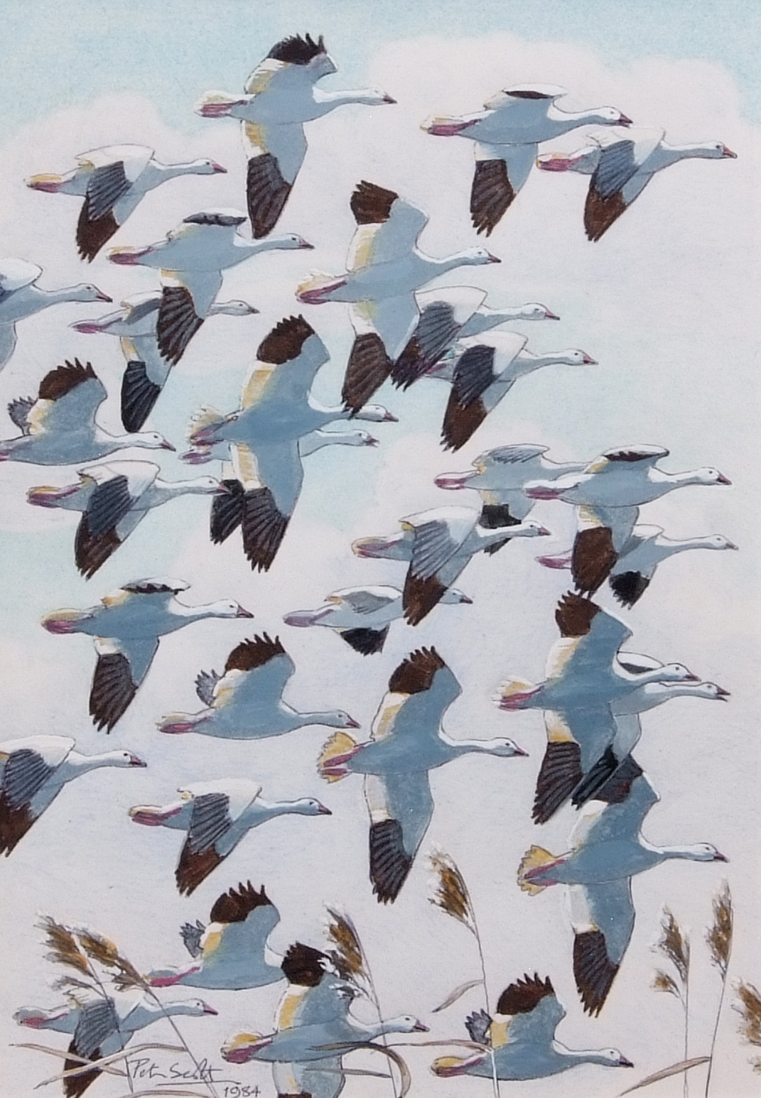 AR Sir Peter Markham Scott, CH, CBE (1909-1989), Geese in flight, pen, ink and watercolour, signed