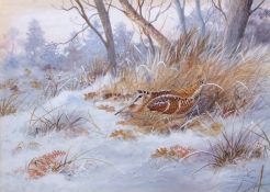 AR Richard Robjent (Born 1937), Woodcock in Winter, watercolour, signed and dated 1984 lower