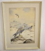 AR John Shepperd (20th Century), Gyr Falcon in Winter Landscape, watercolour, signed lower right, 53