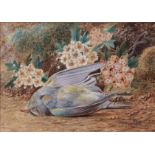 F Flockon (19th Century), Still Life Studies, Pair of watercolours, both signed, 12 x 17cm (2)