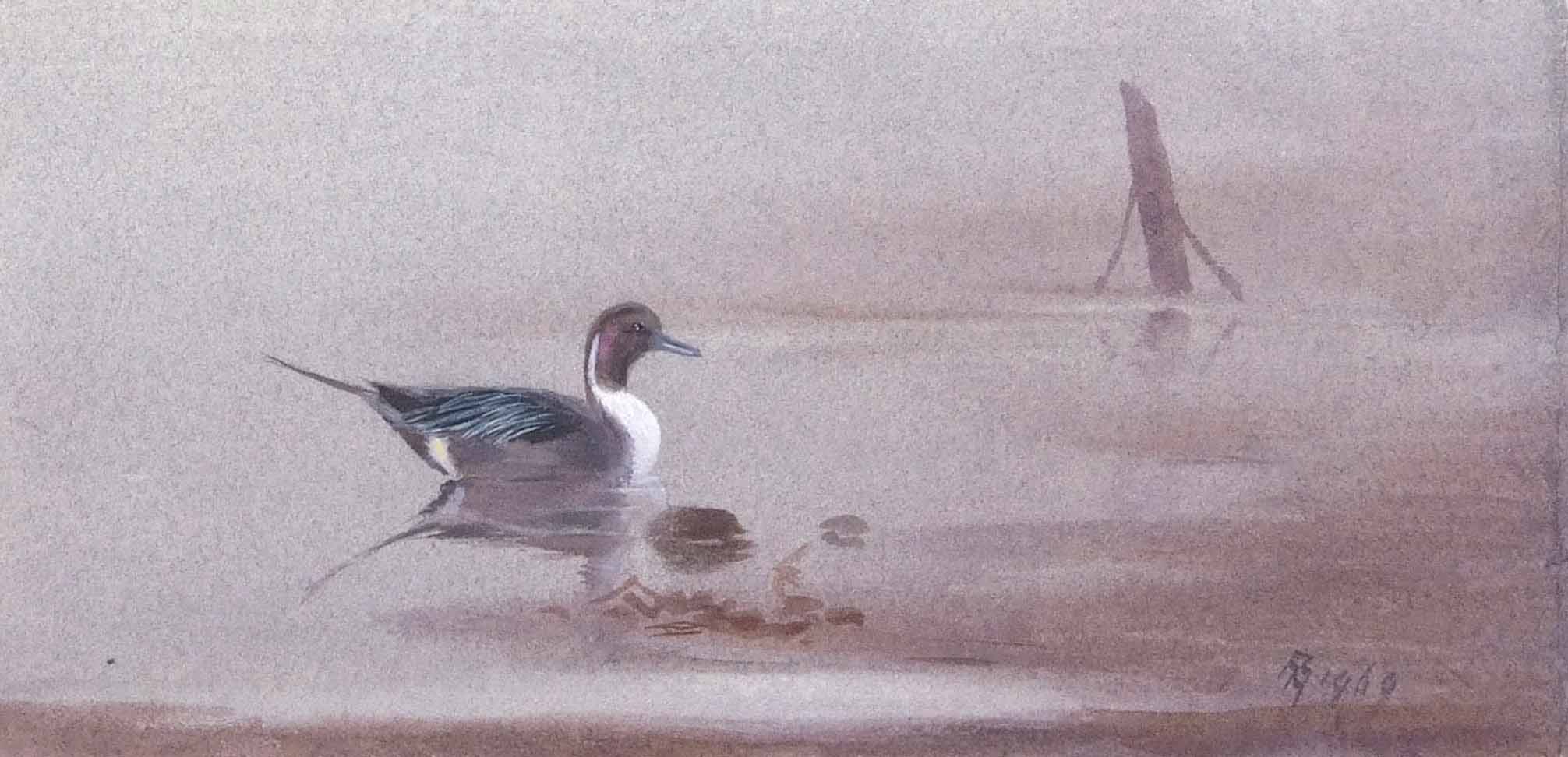 AR Philip Rickman (1891-1982), "Misty Morning, Pintail", watercolour, monogrammed and dated 1969 - Image 2 of 2
