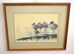 AR Frederick J Watson (20th Century), Greylag Geese, watercolour, signed and dated '86 lower