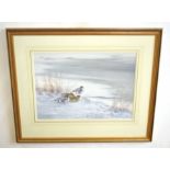 AR Richard Robjent (Born 1937), Long-tailed Ducks in Winter, watercolour, signed and dated 1985