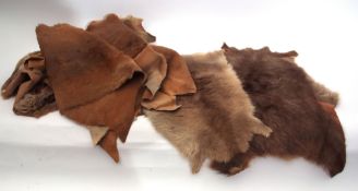 Taxidermy - box containing 9 large Kangaroo skins together with one long haired Kangaroo skin (10)