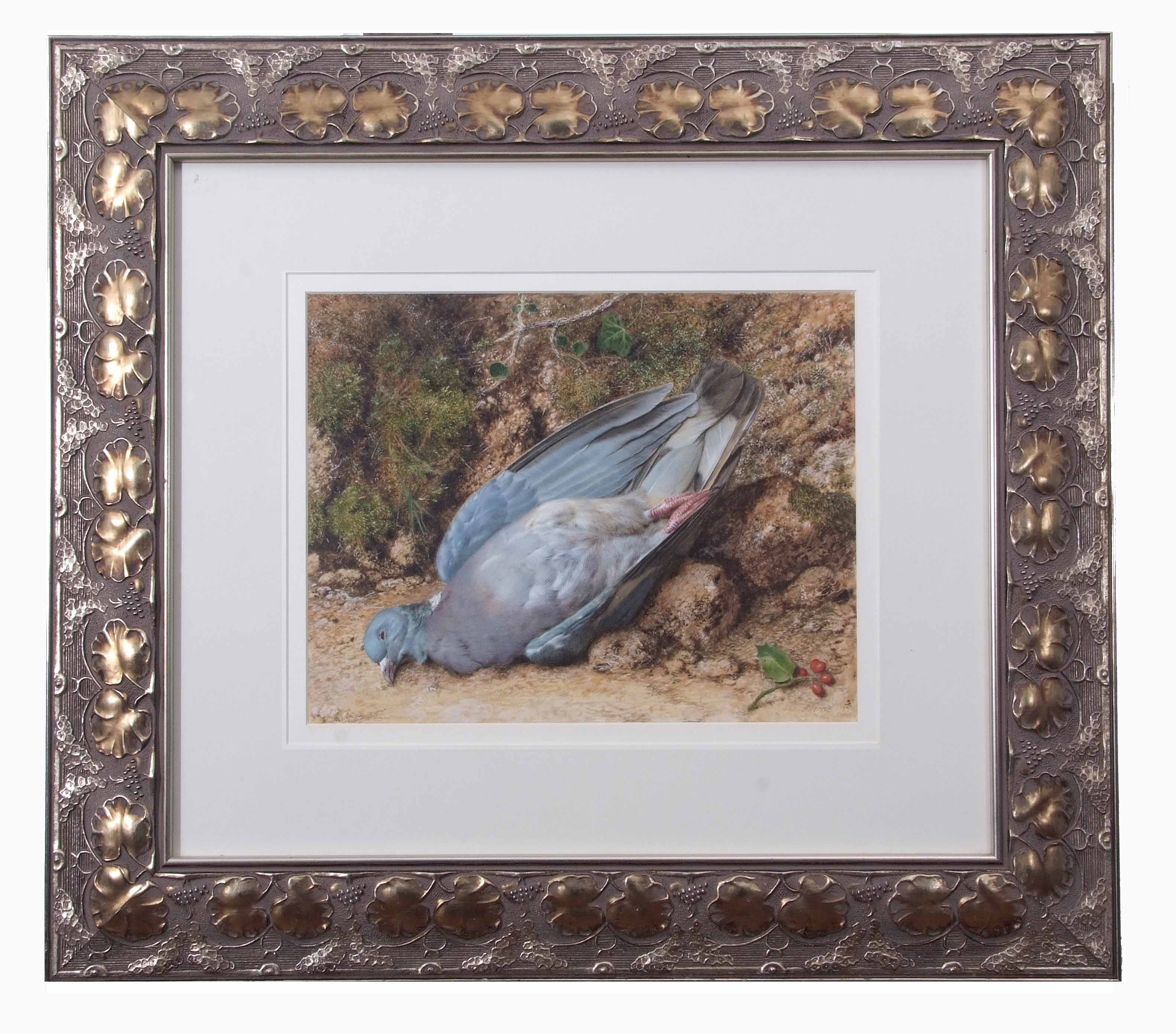 John Sherrin (1819-1896), Still Life study of dead pigeon on mossy bank, watercolour, signed lower - Image 2 of 2