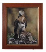 M A Robles (20th Century), Birds of Prey, oil on canvas, signed and dated '90 lower right, 53 x