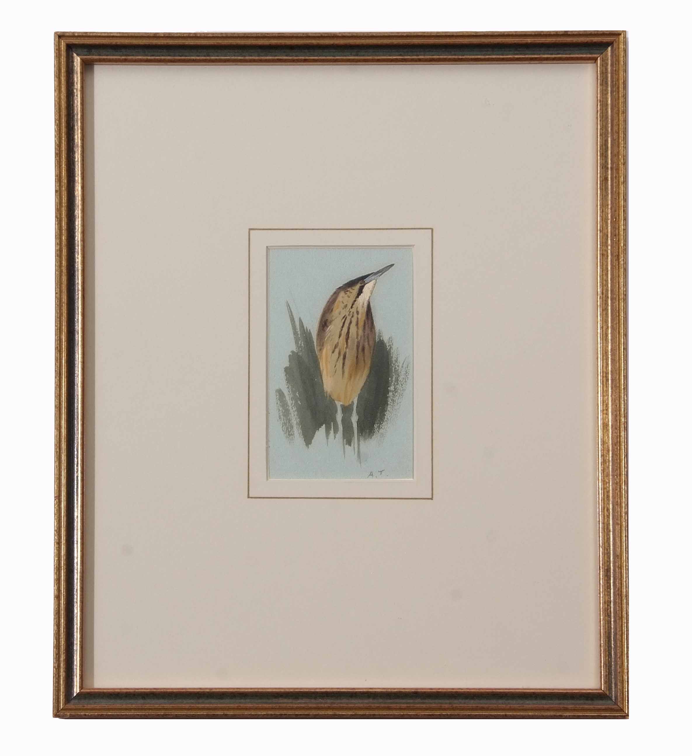 Archibald Thorburn (1860-1935) , Bittern , watercolour, initialled lower right, 11 x 7cm - Image 2 of 2