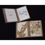 D Barnard (20th Century), Bird Studies, two albums of various watercolours, mostly signed (2)