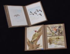 D Barnard (20th Century), Bird Studies, two albums of various watercolours, mostly signed (2)