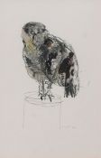 Modern School (20th Century), Study of a Hawk , mixed media, indistinctly signed lower right , 28