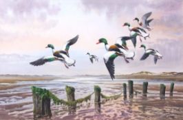 Carl Donner (CONTEMPORARY) , Shellducks over Mudflats, watercolour, signed lower right, 35 x 54cm