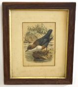 R H Petherick (20th Century), Duck, gouache, signed lower right, 24 x 20cm, together with hand