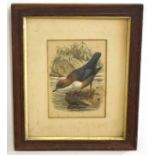 R H Petherick (20th Century), Duck, gouache, signed lower right, 24 x 20cm, together with hand