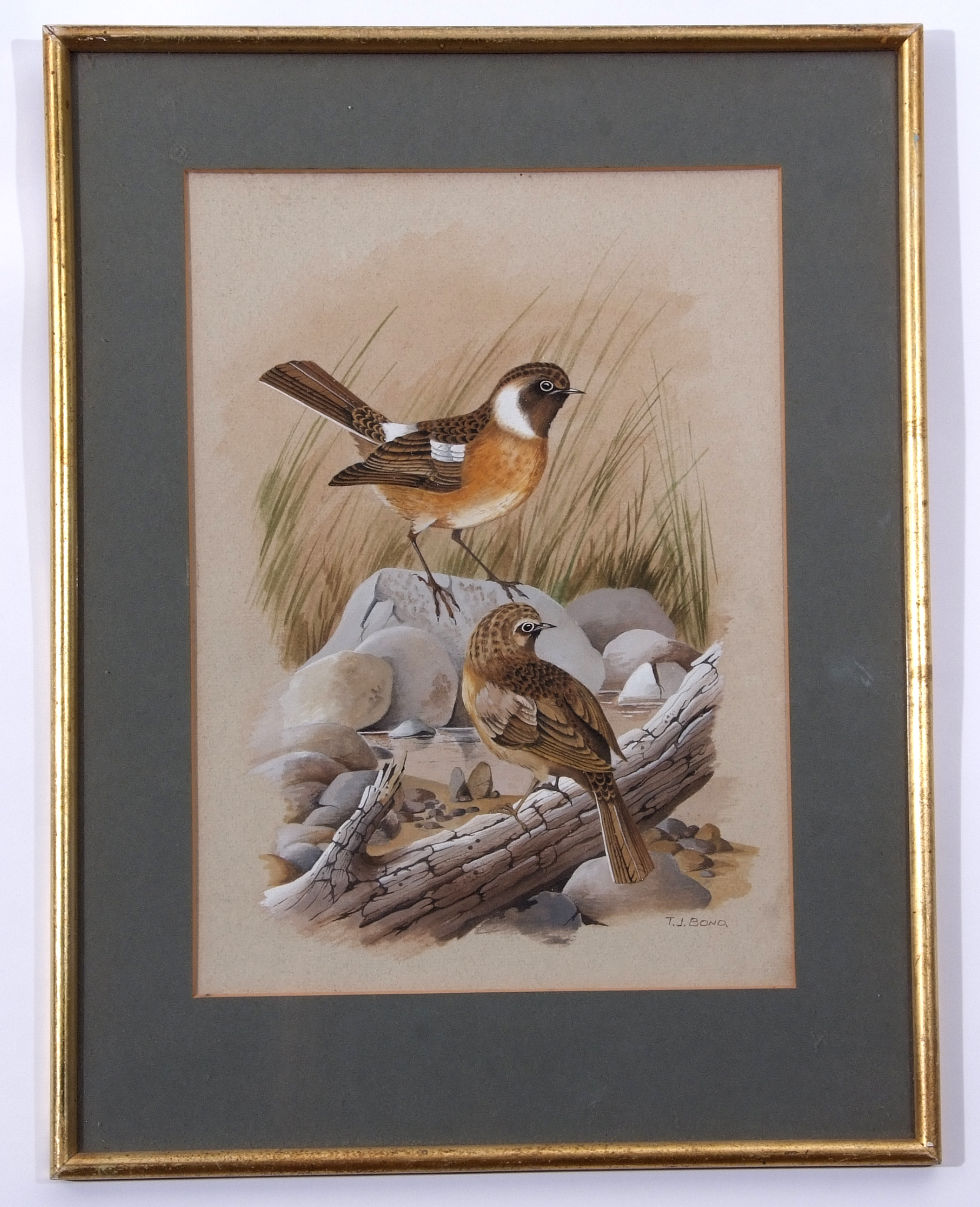 AR Terence J Bond (born 1946), "Stonechats", watercolour, signed lower right, 29 x 21cm - Image 2 of 2