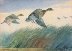 AR Frank Southgate RBA, (1872-1916) Teal Alighting watercolour, signed lower right