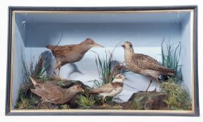 Taxidermy Cased group of 4 Waders in naturalistic setting by W Lowne of 40 Fuller's Hill, Great