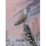 Mark Chester (contemporary), "Winter Morning - Barn Owl", acrylic, signed lower right , 40 x 30cm