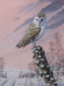 Mark Chester (contemporary), "Winter Morning - Barn Owl", acrylic, signed lower right , 40 x 30cm