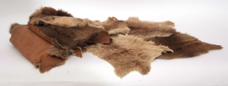 Taxidermy - box containg 14 Kangaroo cut rug pieces & rabbit skins (14) various shapes and sizes