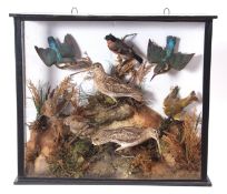 Taxidermy Cased group of assorted birds including pair of Kingfisher, Snipe, Redpoll etc, 48 x 54cm