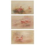 AR James Stinton (1870-1961), Grouse, Partridge and Pheasants, group of 3 watercolours, all