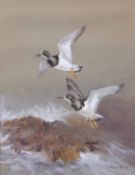 AR Roland Green (1896-1972), Plover in flight over a coast, watercolour and gouache, signed lower