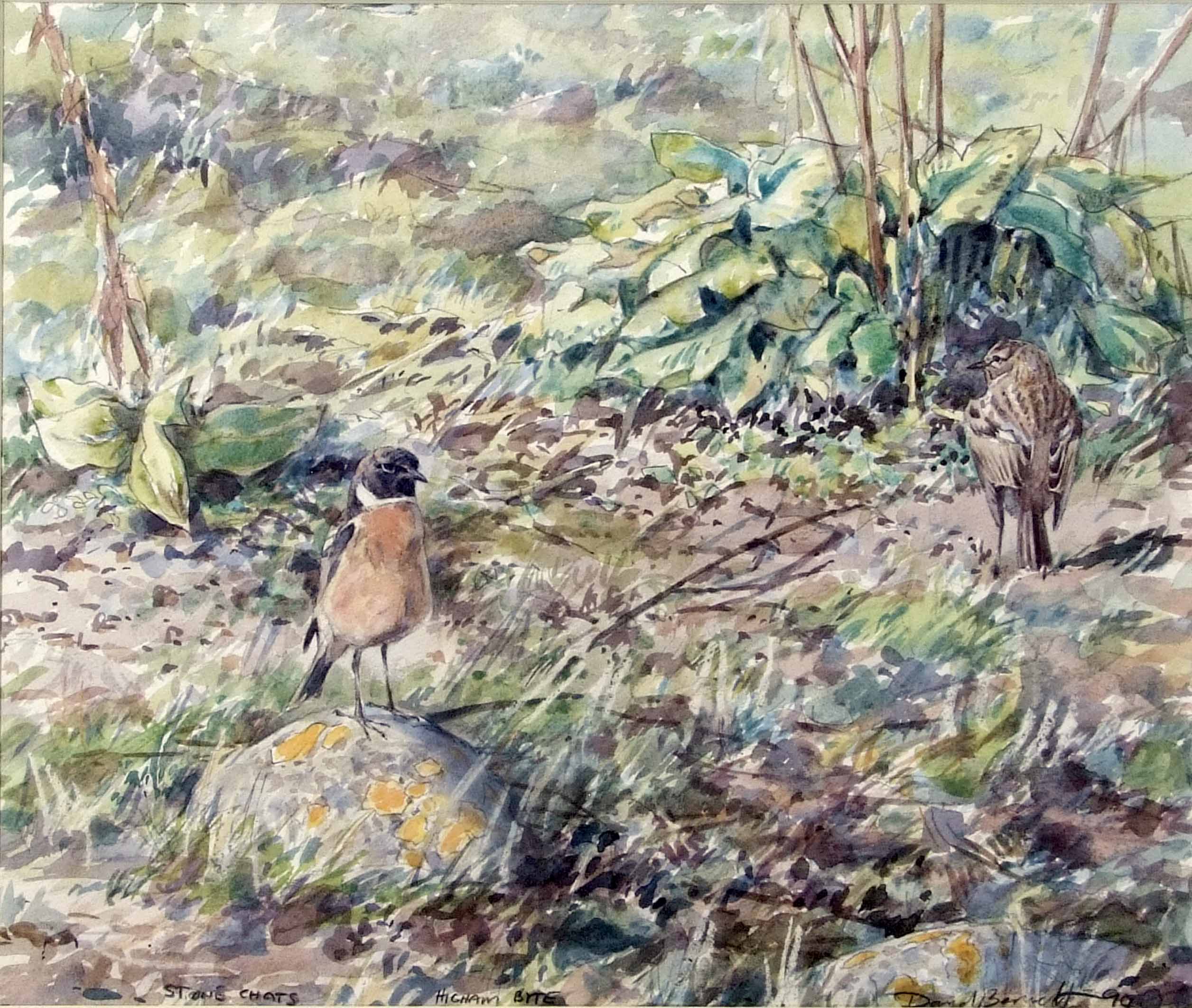 AR David Bennett (contemporary), "Stonechats", watercolour, signed and dated 90 lower right, 35 x - Image 2 of 2