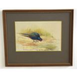 AR Philip Rickman (1891-1982), Pheasant in Woodland, watercolour, signed lower left, 16 x 23cm