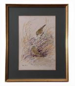 AR Eric Arnold Roberts Ennion (1900-1981), "Chiff-chaffs lining nest", watercolour, signed lower
