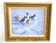 AR Julian Novorol (Born 1949), Ducks by waters edge, Oil on board, signed and dated 1983 lower left,