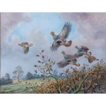 Carl Donner (CONTEMPORARY) , "English Partridge over a Norfolk Hedge", watercolour, signed lower
