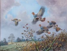 Carl Donner (CONTEMPORARY) , "English Partridge over a Norfolk Hedge", watercolour, signed lower